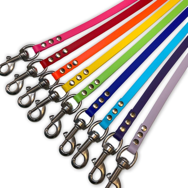 1/2” Custom biothane dog leash