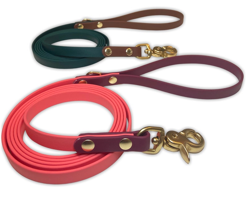 Two tone Custom biothane dog leash image 3