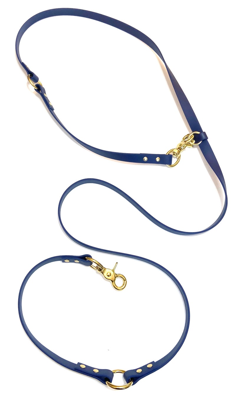 Multifunction Hands Free Biothane Leash Etsy