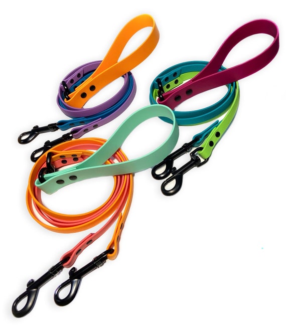 Double Swivel Biothane Dog Leash 