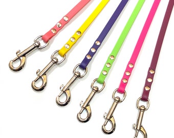 3/8” Custom biothane dog leash