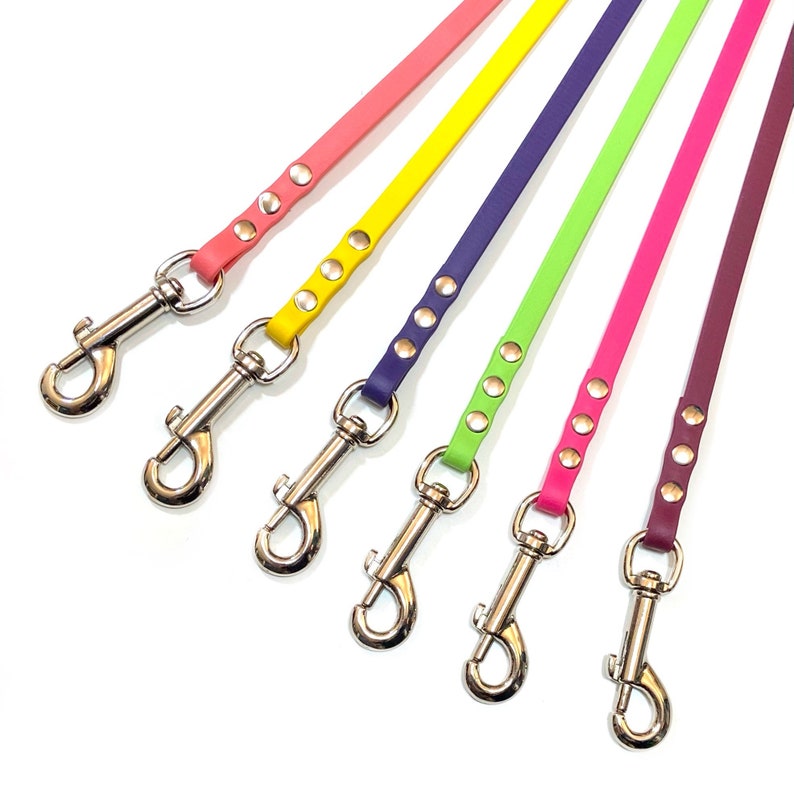 3/8 Custom Biothane Dog Leash Etsy