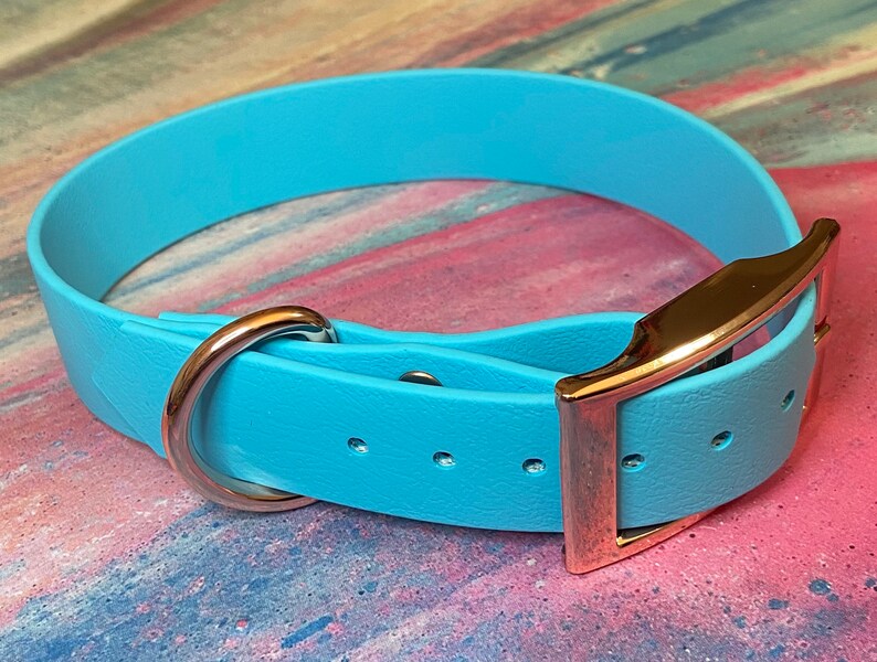 Custom biothane dog collar traditional buckle Etsy