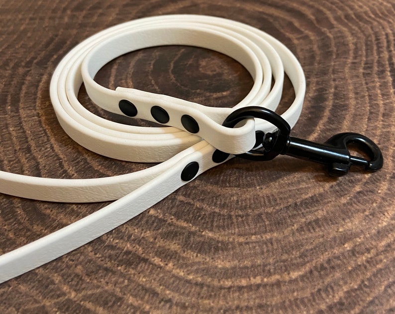3/8 Custom biothane dog leash Etsy
