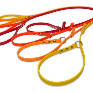 3/8&quot; custom Biothane slip lead
