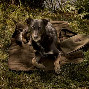 Puede incluir: Un perro negro y marrón yace sobre una cama de perro de lona marrón con una correa de cuero marrón. La cama de perro está sobre una superficie de hierba verde.