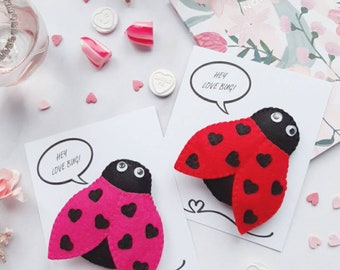 Love bug gift card, love bug brooch, ladybird card Valentines gift