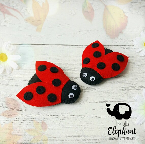 ladybird gift