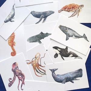 Lot de 15 cartes postales animalières, créatures marines, cartes postales animalières, carte de voeux, petit cadeau