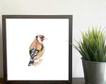 Goldfinch Print for home , Bird wall art Print, Bird Lovers Gift Idea,
