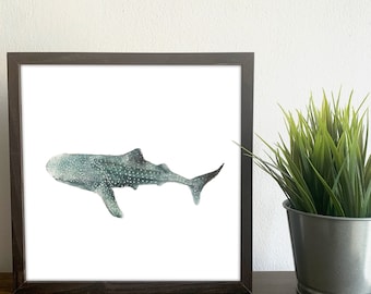 Whale Shark Watercolor Art Print- Ocean Wall Decor - Marine Life Art