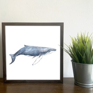 Humpback Whale Print, Whale Art Wall Decor, Whale nursery art, Whale portrait