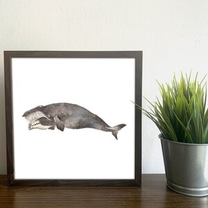 May include: A framed watercolor painting of a gray whale with an open mouth, swimming to the right. The whale is depicted in a simple, minimalist style against a white background.
