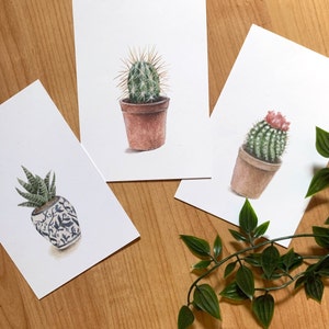 Sukkulenten Postkarten Set, 4er Pack Postkarten, Kaktus Postkarten Set