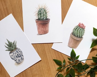 Succulents Postcard Set, Pack of 4 postcards, Cactus Postcard Set