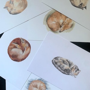 Juego de postales de animales, postales de animales, juego de postales de zorro, papelería de animales