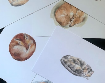 Jeu de cartes postales d'animaux, Cartes postales d'animaux, Jeu de cartes postales de renard, Papeterie animal