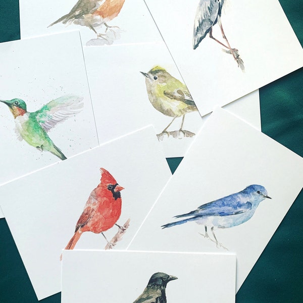 Vogel ansichtkaarten set, schattige vogel ansichtkaarten, natuur ansichtkaart, briefkaart cadeau idee, mini vogelafdrukken, vogelliefhebbers cadeau