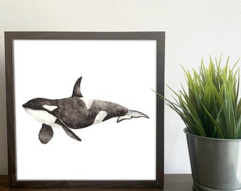 Orca Print, Decoración de pared de arte de criaturas marinas