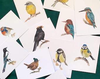 Bird Postcard Set - Nature mini prints