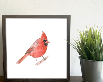 Red Cardinal Watercolor Print – Bird Wall Art