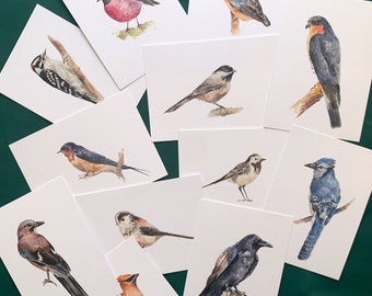 Ensemble de cartes postales d'oiseaux, carte postale nature, impressions de mini oiseaux, idée cadeau carte postale, cartes postales d'oiseaux mignons