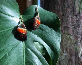 boucles d'oreilles petites  plumes de coq et faisan lady amherst rouge  perles jaspe rouge