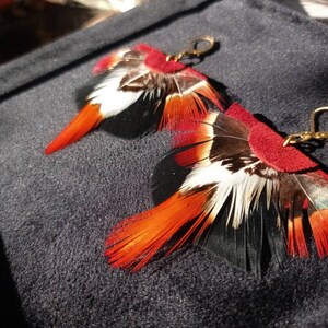 May include: A pair of handcrafted feather earrings. The earrings feature a combination of red, white, black, and brown feathers, with a small red suede accent and gold-colored ear hooks. The feathers are arranged to create a unique, eye-catching design.