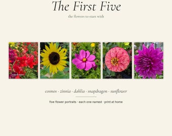 The First Five Flower Print Set, Named Botanical Wall Art, Printable Digital Download, Snapdragon Zinnia Dahlia Sunflower Cosmos