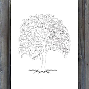 Puede incluir: Un dibujo en blanco y negro de un árbol desnudo con ramas que llegan hacia abajo. El árbol está dibujado sobre un fondo blanco.