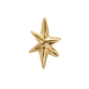 May include: A gold-colored star-shaped charm with a textured surface.