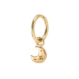 May include: Gold crescent moon charm with a small star design hanging from a gold hoop earring.