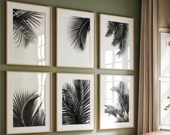 Botanical Prints Set Of 6 Black And White, Palm Leaf Print Set, Set Of 6 Prints, Download Wall Art Prints, Printable, Living Room Wall Decor