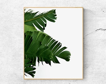 Bananenbladprint: tropisch groene muurkunst (digitale download)
