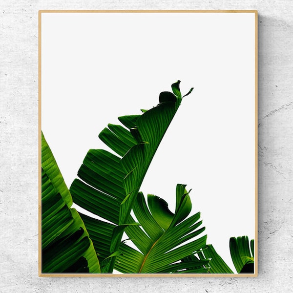 Botanical Wall Art, Banana Leaf Print, Minimal Wall Décor, Modern Digital Download Art, Large Printable Wall Art, Tropical Wall Art, Green