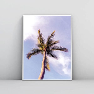 Printable Palm Tree Wall Art Print Digital Download, Botanical poster Prints, Nature Prints, Tropical Photography