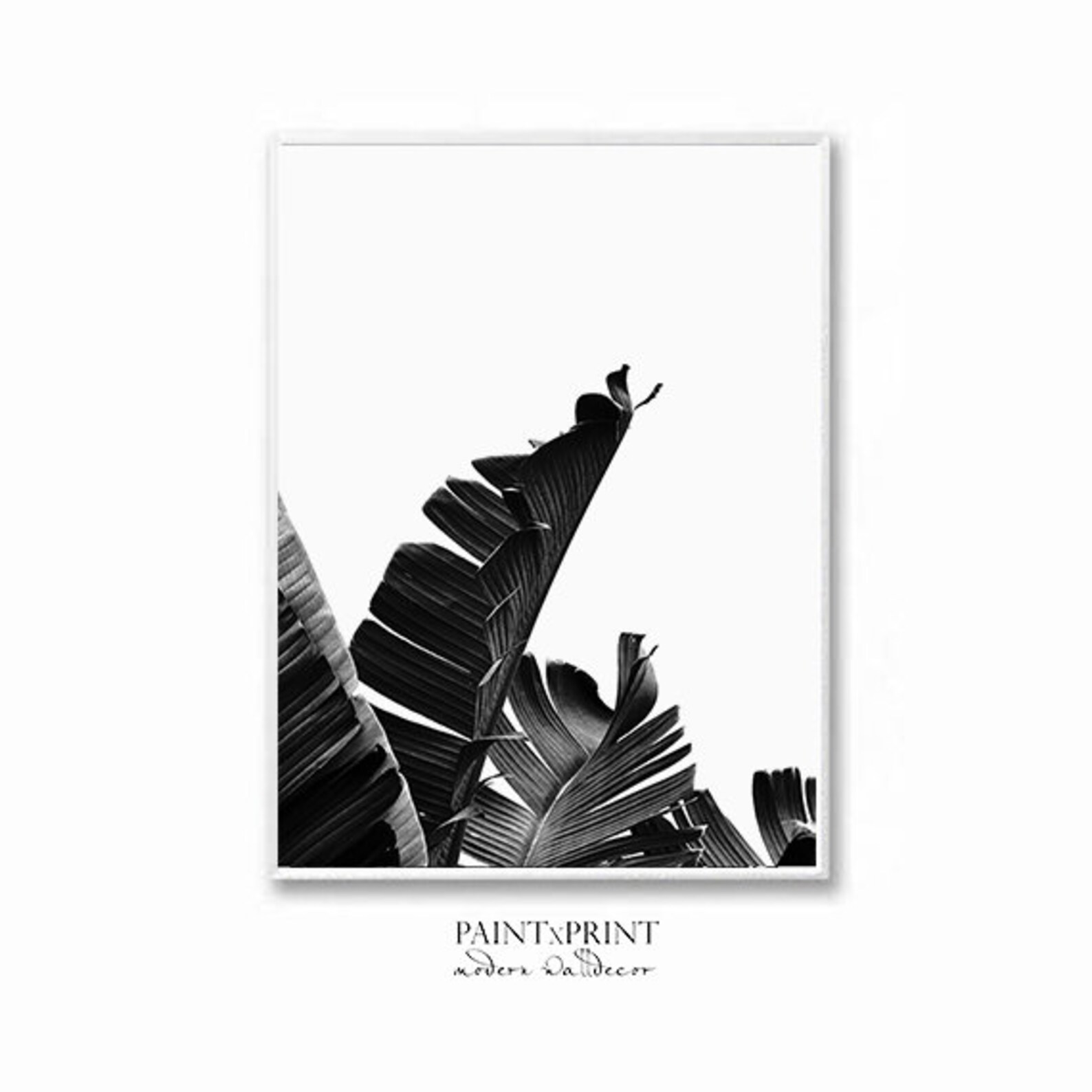 Black And White Banana Leaf Print Printable Leaf Wall Art Etsy