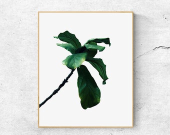 Botanical Poster, Tropical Wall Art Print, Botanical Leaf Print, Instant Download Leaf Art, Digital Download Leaf Print, Tropical Poster Art