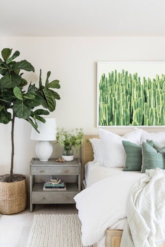 melo kaktus Melo Cactus – Plants and Things LLC main image 0