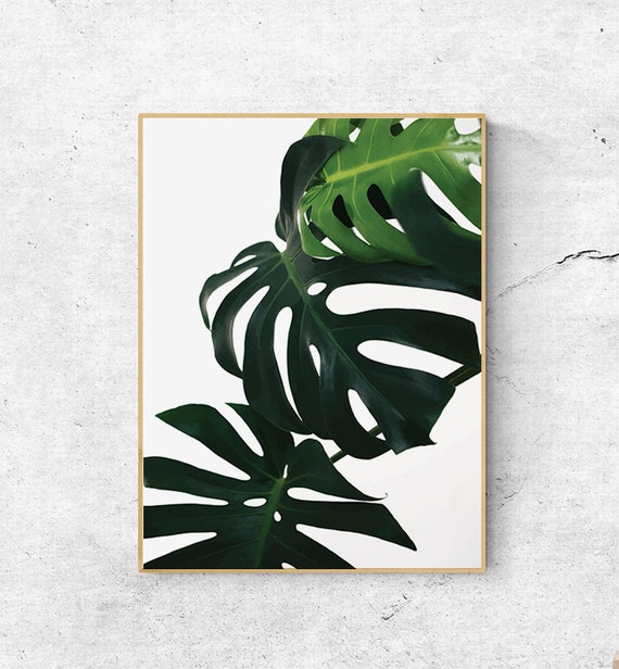Monstera Leaf Art Print: Tropical Home Decor (digital Download) - Etsy