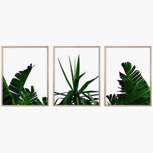 Botanische Wand Kunst Drucke: Grüne Pflanze 3er Set (Digitaler Download)