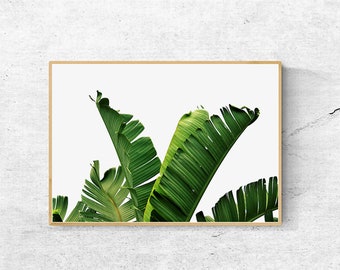 Banana Leaf Print, Palm Leaf Print, Botanical Art Print, Banana Leaves Prints, Green Leaves, Tropical Leaf Print, Digital Download Art