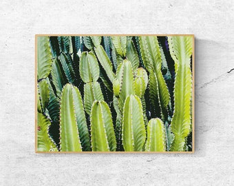 Cactus Art Print: Modern Desert Wall Decor (Digital Download)