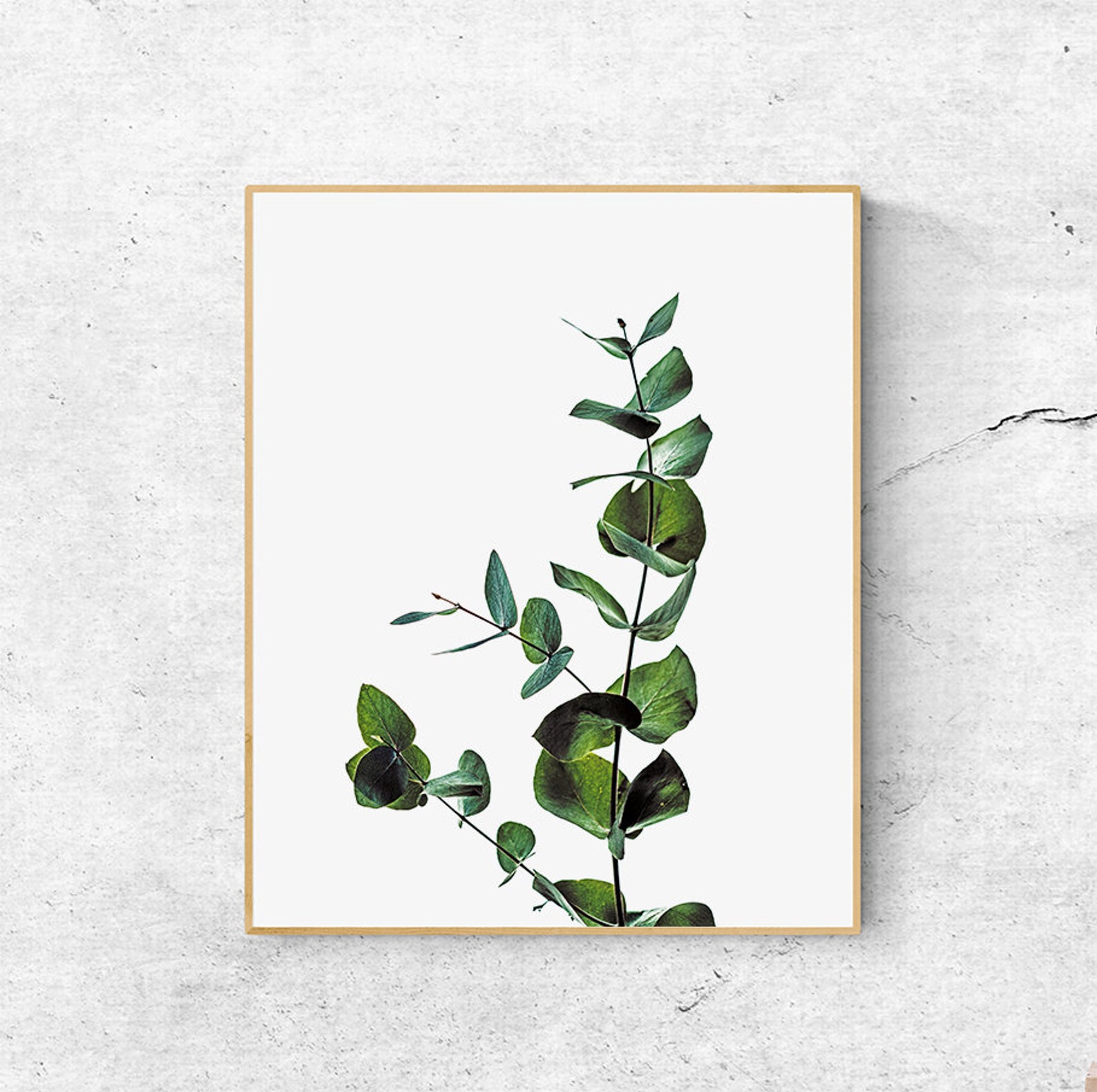 Eucalyptus Leaves Prints Wall Art Prints Greenery | Etsy
