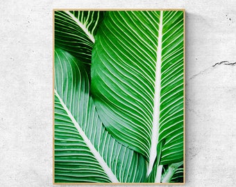 Botanical Leaves Wall Art, Downloadable Modern Farmhouse Prints, Farmhouse Printable Wall Art Bathroom Wall Decor