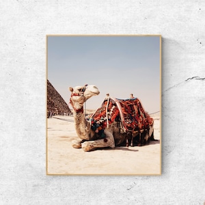 Camel & Pyramid Desert Photography Print: Boho Wall Art (Digital Download)