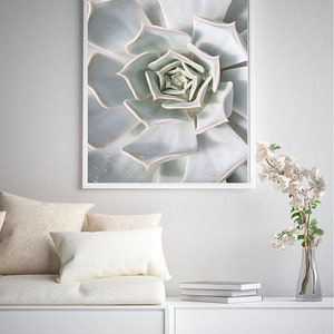 Succulent Print Poster, White Succulent Wall Art Printable, Desert ...