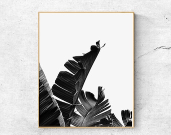 Black and White Banana Leaf Art Print: Minimalist Palm Decor (Digital Download)