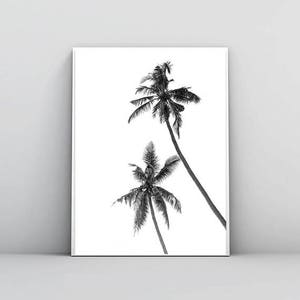 May include: Black and white print of two palm trees against a white background. The image features a minimalist design with the trees' silhouettes and fronds. The artwork is framed and ready to hang, suitable for coastal or tropical decor.