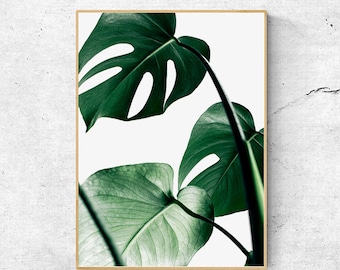 Monstera Leaf Print, Botanical Prints, Wall Art Prints, Tropical Print, Banana Leaf print, Large Wall Art Printable, Monstera Poster Print